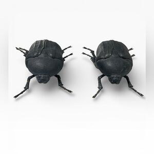 Large Realistic Black Beetle Wall Decor Sculpture 9” Bug Insect Display Two New